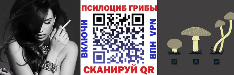OMG ONION  Сосновоборск  Галлюциногенные грибы прущие грибы  как найти закладки 