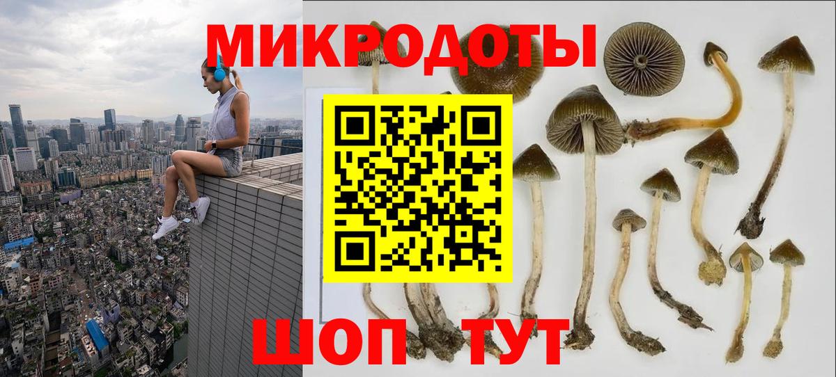 Галлюциногенные грибы Magic Shrooms  Вход с VPN  Галлюциногенные грибы мухоморы  купить наркотики цена  Сосновоборск 